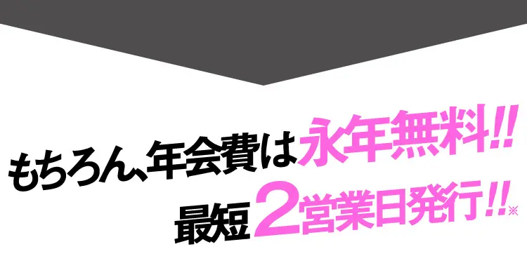 もちろん、年会費は永年無料!!最短2営業日発行!!※